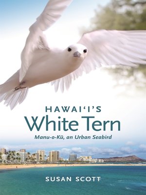cover image of Hawai'i's White Tern
